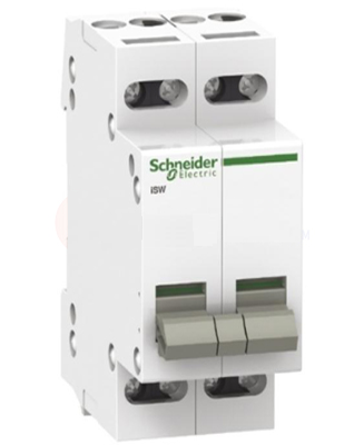 Isolating switch 2P 100A 220VAC A9S6291